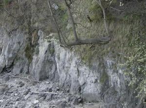 SatApr720070103AM_5.jpg
