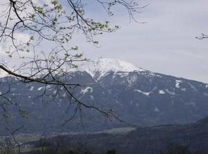 SatApr720071226AM_3.jpg