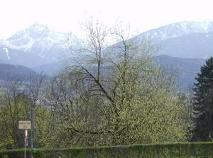 SatApr720071253AM_2.jpg