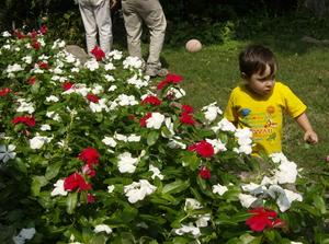 SatAug1820070214PM.jpg