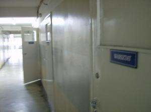 SatFeb1020071013AM_2.jpg