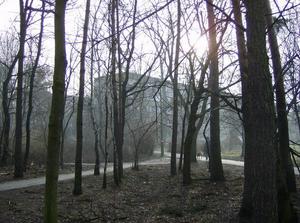 SatFeb1020071020AM.jpg