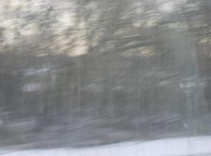 MonJan120070831AM_2.jpg