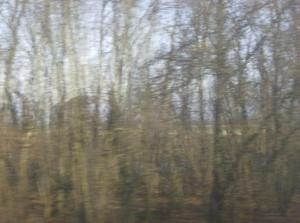 MonJan120070951AM_2.jpg