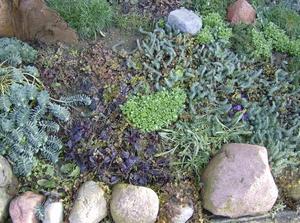 MonFeb1220070127AM.jpg