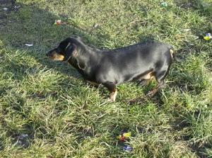 MonFeb1220070226AM_2.jpg