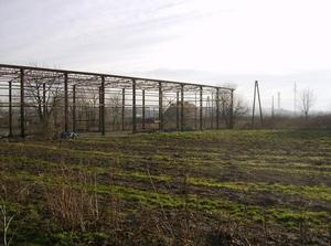 MonFeb1220070227AM.jpg