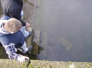 MonFeb1220070241AM.jpg