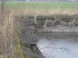 MonFeb1220070242AM_3.jpg