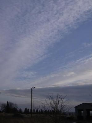 MonFeb1220070242AM.jpg