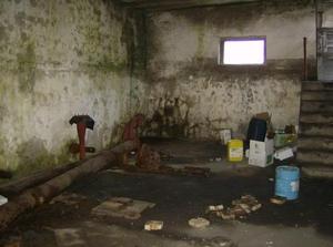 MonFeb1220070245AM_3.jpg