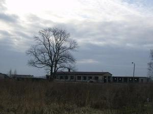 MonFeb1220070251AM_2.jpg