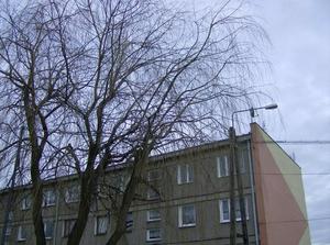MonFeb1220070259AM_2.jpg
