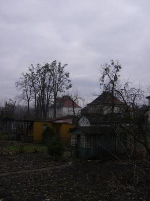 MonFeb1220071233AM.jpg