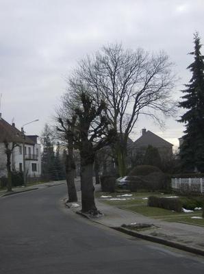 MonFeb1220071236AM_2.jpg