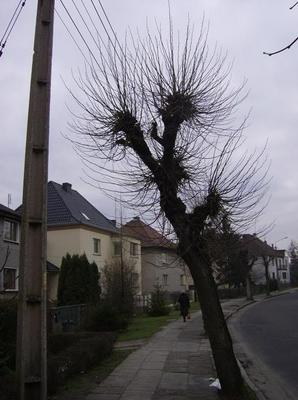 MonFeb1220071236AM.jpg