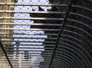 HPIM0141.jpg