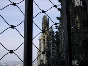HPIM0144.jpg