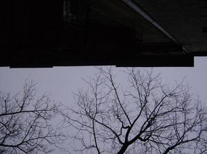 SunFeb1120070324PM.jpg