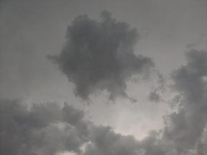 FriSep420090252PM.jpg