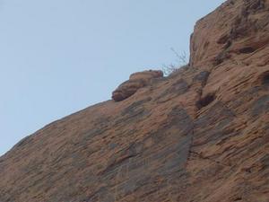 SatSep520090535PM.jpg