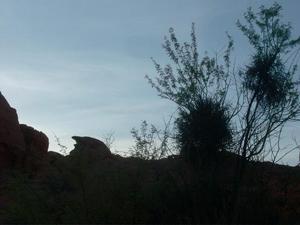 SatSep520090604PM.jpg