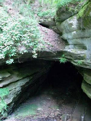 HPIM0229.jpg