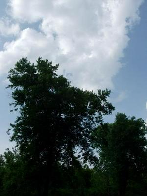 HPIM0247.jpg