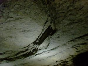 HPIM0256.jpg