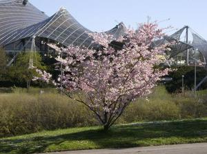 FriApr620070110AM_3.jpg