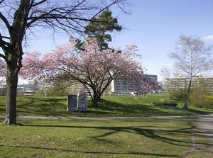 FriApr620070113AM_3.jpg