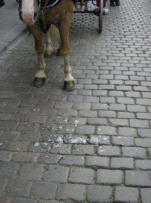 HPIM0230.jpg