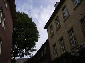 HPIM0262.jpg