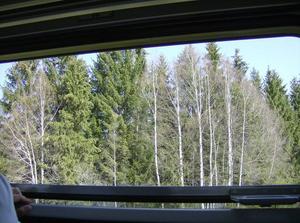 SunApr820070719PM_2.jpg