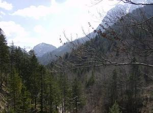 SunApr820070927PM.jpg