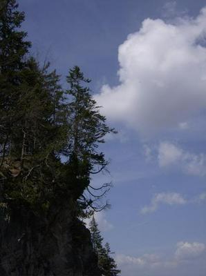 SunApr820070933PM_3.jpg