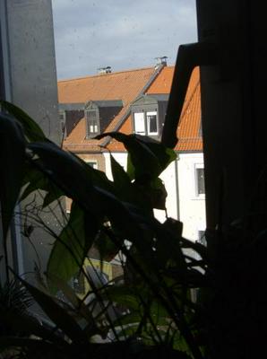 HPIM1996.jpg