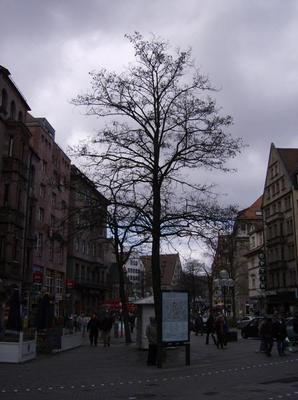 HPIM1998.jpg
