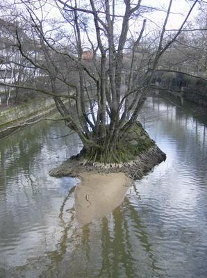 HPIM2012.jpg
