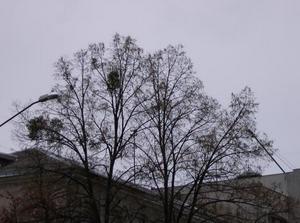 FriDec2920060251PM_2.jpg