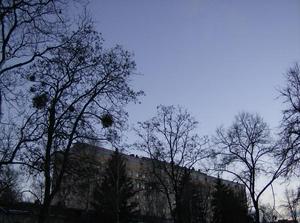 FriDec2920060344PM.jpg