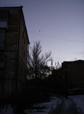 FriDec2920060350PM.jpg