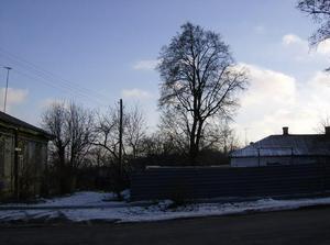 SatDec3020060216PM.jpg