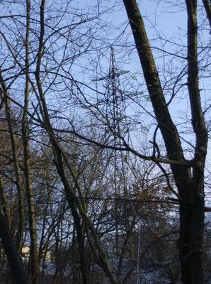 SatDec3020060230PM.jpg
