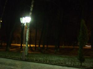 ThuDec2820061011PM_4.jpg