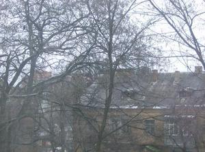 ThuDec2820061040AM.jpg