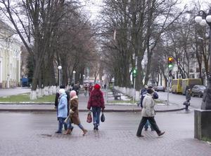 ThuDec2820061230PM_4.jpg