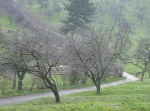 HPIM2170.jpg