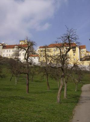 HPIM2174.jpg