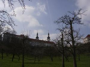 HPIM2175.jpg